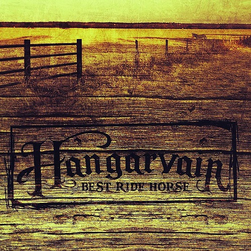 Hangarvain – Best Ride Horse