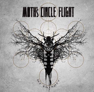 Moth’s Circle Flight – My Entropy