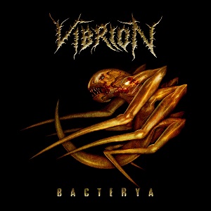 Vibrion – Bacterya