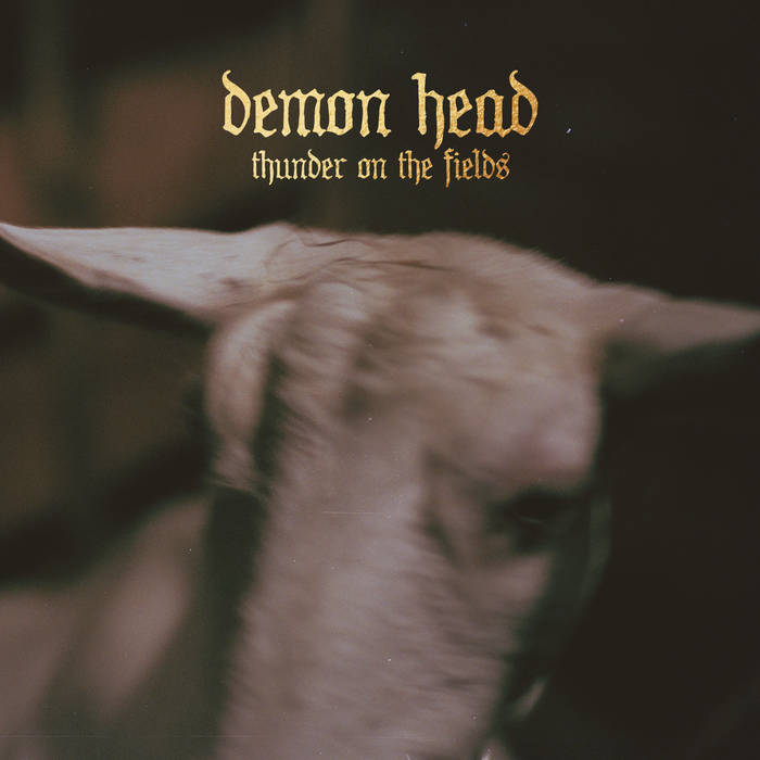 Demon Head – Thunder On The Field