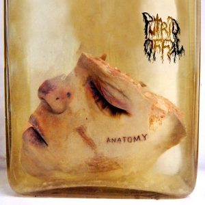 Metal Eyes 8 PUTRID OFFAL Metal Eyes