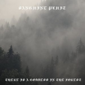 SCsanguine Metal Eyes