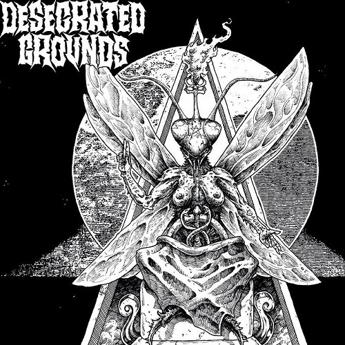 Desecrated Grounds – Lord Of Insects