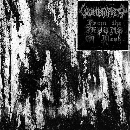 Wombripper – From The Depths Of Flesh