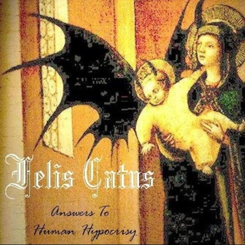 Felis Catus – Answers To Human Hypocrisy