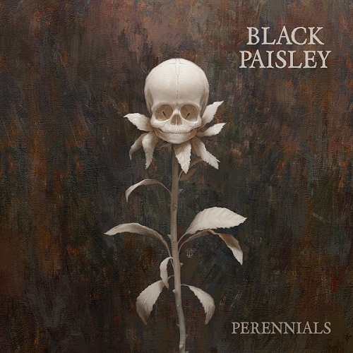 Black Paisley – Perennials