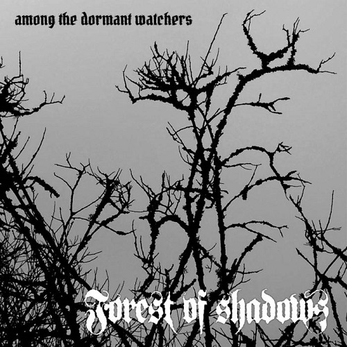 Forest of Shadows – Among the Dormant Watchers