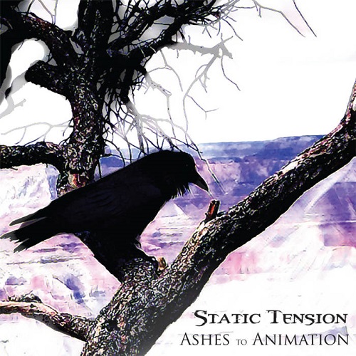 Static Tension – Ashes To Animation