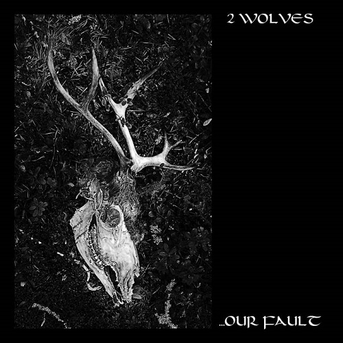 2 Wolves – ….Our Fault
